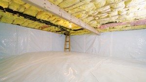 crawl space raleigh removal critter control