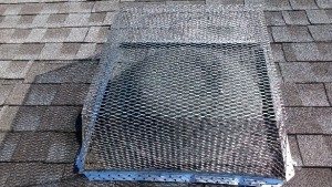 roof guard animal pests