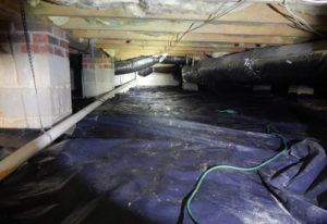 bay area crawl space cleaning after dead animal