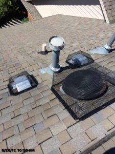 Roof vents protected Critter Control Triad Animal Exclusion Greensboro